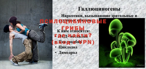 бошки Осинники