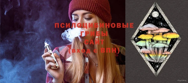 ECSTASY Осташков