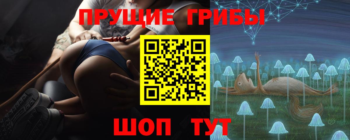 Североуральск  Псилоцибиновые грибы ЛСД  где найти   Вход с VPN 