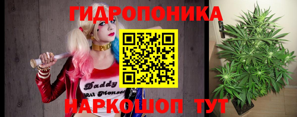 Конопля OG Kush  Конопля OG Kush  МАРИХУАНА индика  МАРИХУАНА VHQ  Североуральск 